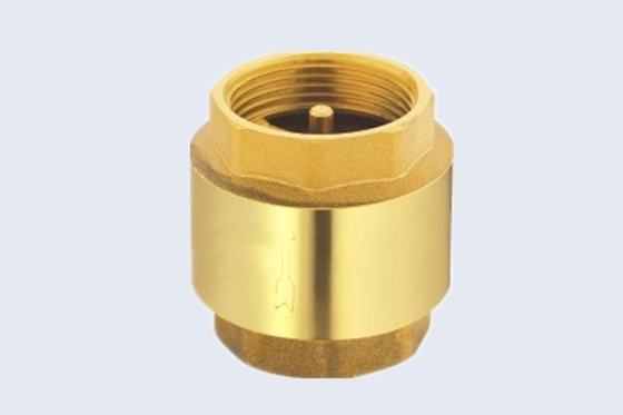 BSP NPT Brass Check Valve Spring Type With Brass Disc
