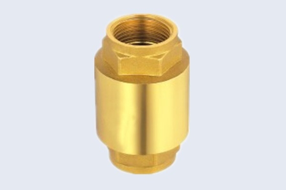 Heavy Brass Valve 1.6Mpa Spring Non Return Valve