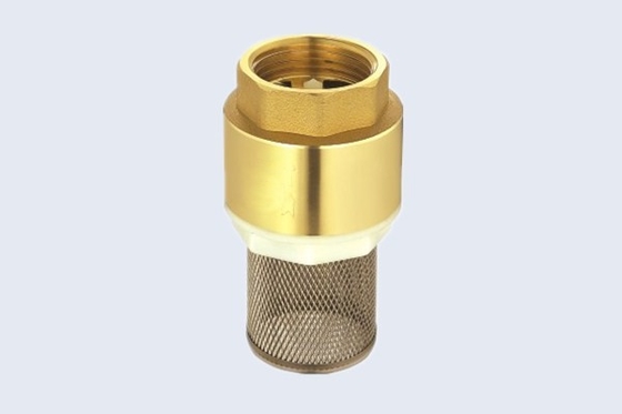 EN228-1 Brass Spring Check Valve With Filter PN16 / 232Psi