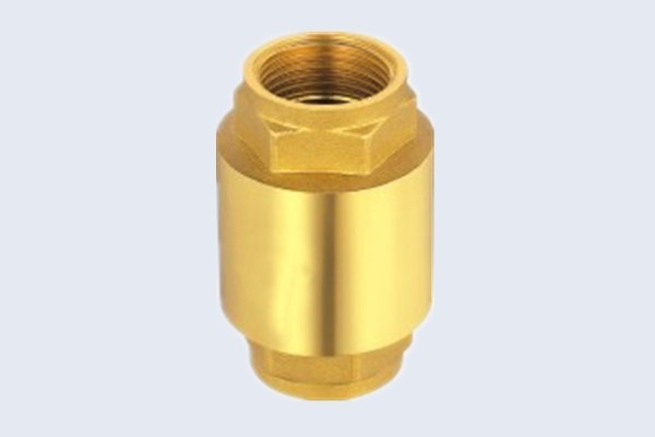 Heavy Brass Valve 1.6Mpa Spring Non Return Valve