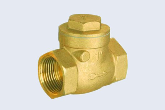 Horizonal 2'' Brass Swing Check Valve For Apartment